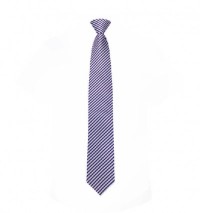 BT011 design business suit tie Stripe Tie manufacturer back view